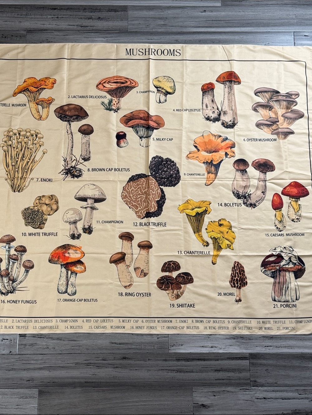 MUSHROOM BOTANICAL FABRIC WALL HANGING 58.5” x 50” COTTAGECORE FUNGI - Picture 3 of 11